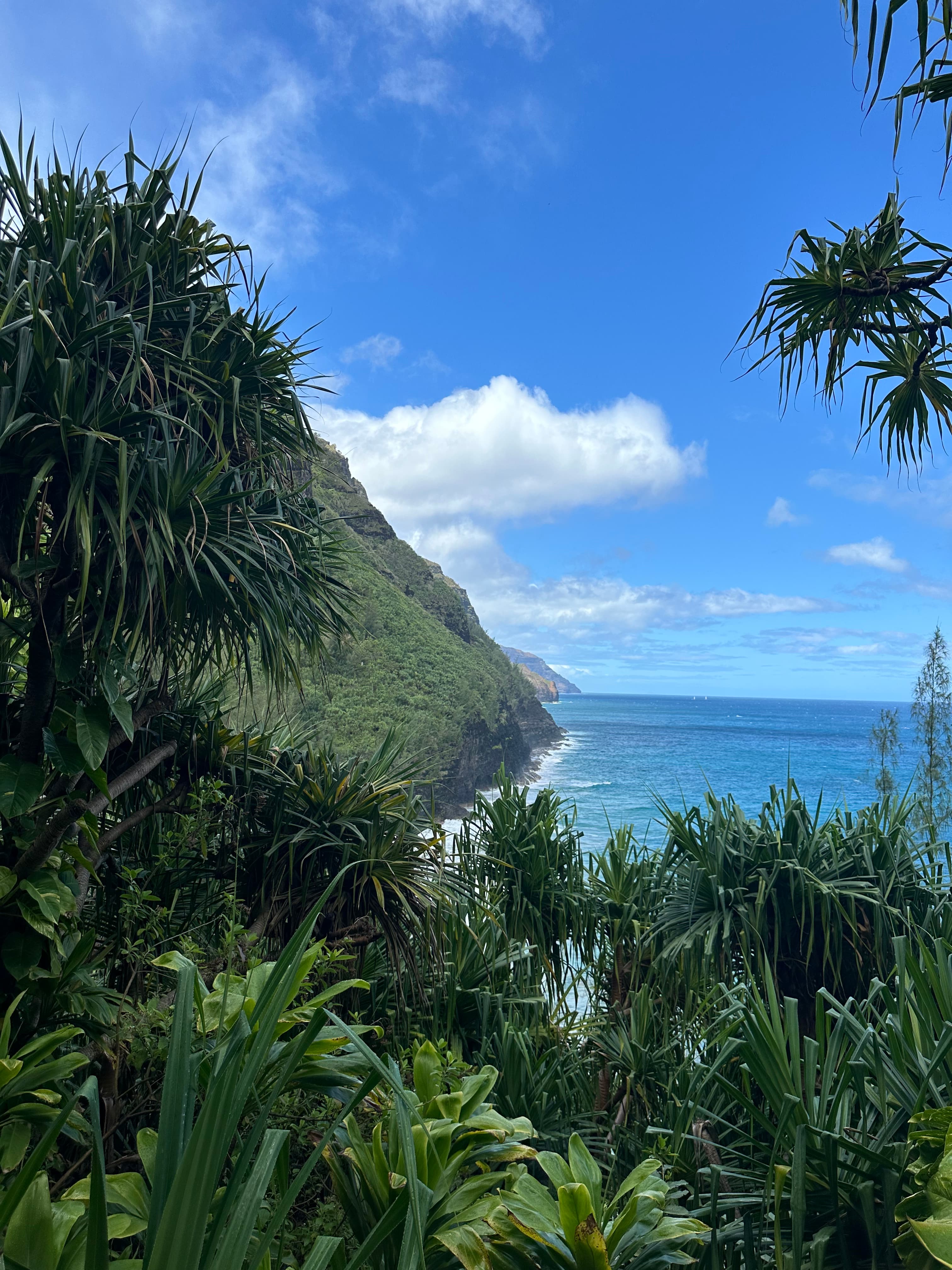 Hāʻena north shore coastline near the shuttle access area